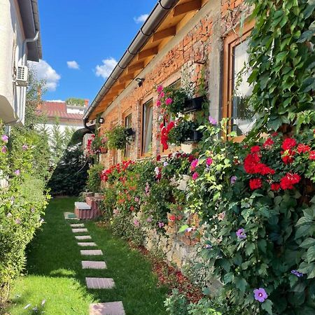 Flower House In The City Center! Пристина Екстериор снимка