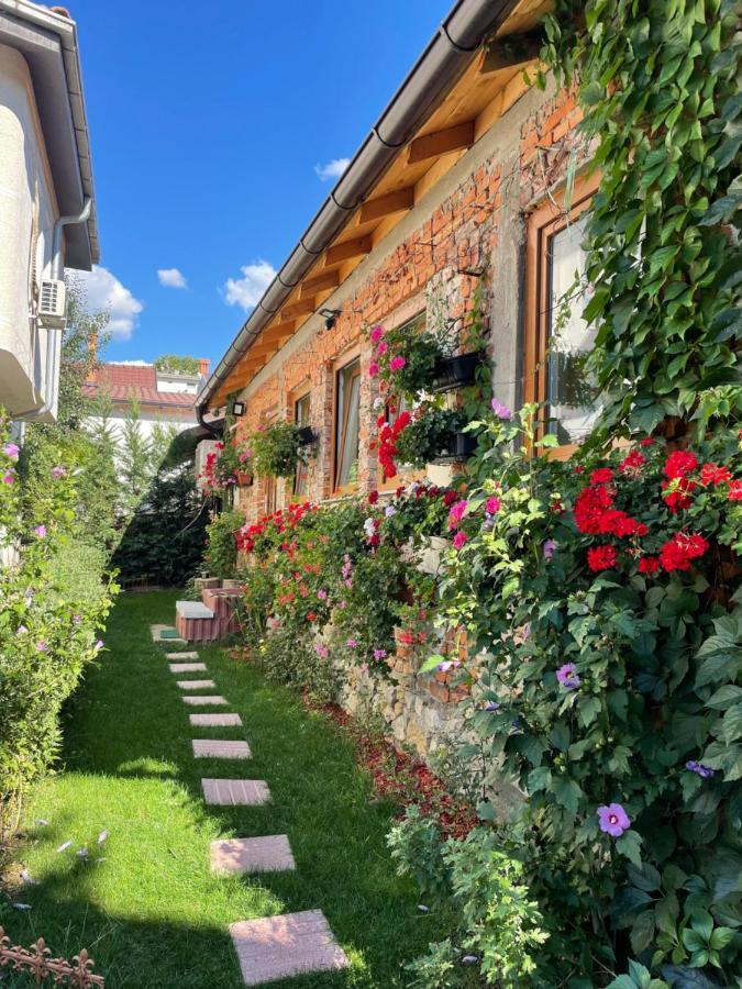 Flower House In The City Center! Пристина Екстериор снимка