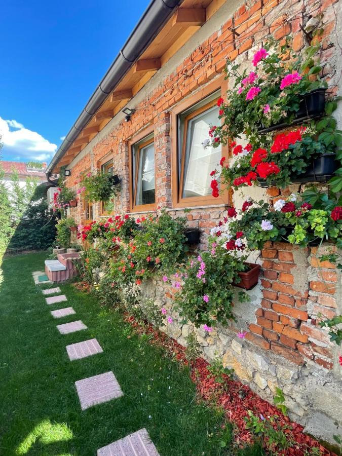 Flower House In The City Center! Пристина Екстериор снимка