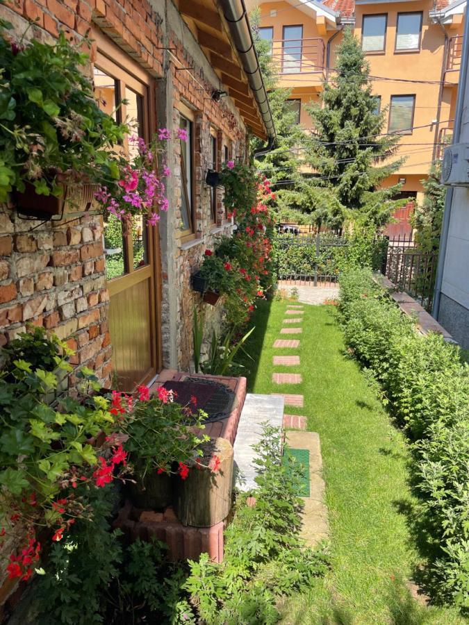 Flower House In The City Center! Пристина Екстериор снимка