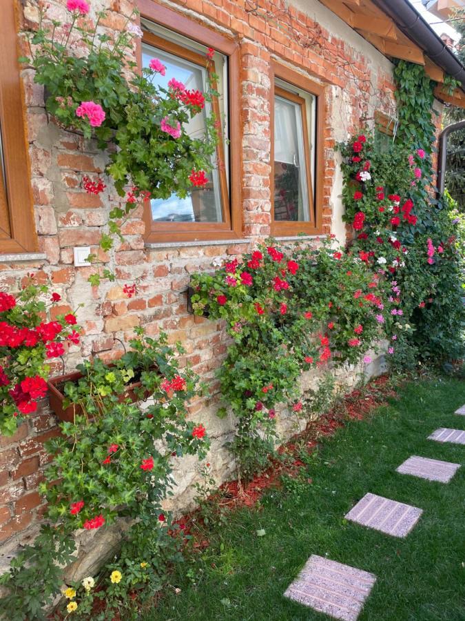 Flower House In The City Center! Пристина Екстериор снимка